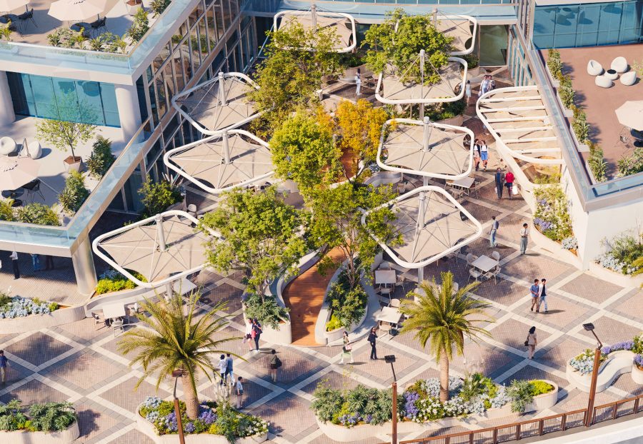 C3V arquitectura