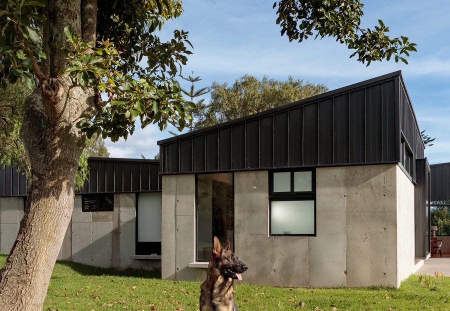 C3V arquitectura